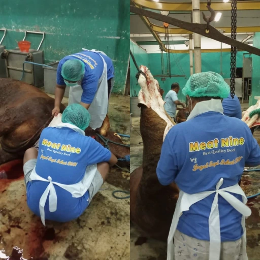 Proses penyembelihan sapi secara syar'i